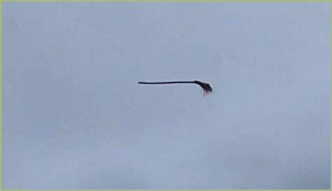 Disturbing video shows floating broom in the middle of the air and the internet is losing its collective mind